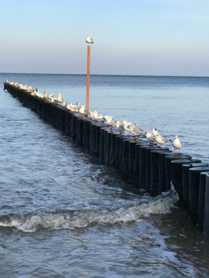 Apartament „Nova Polana” Kolobrzeg Polanki Park Exteriör bild